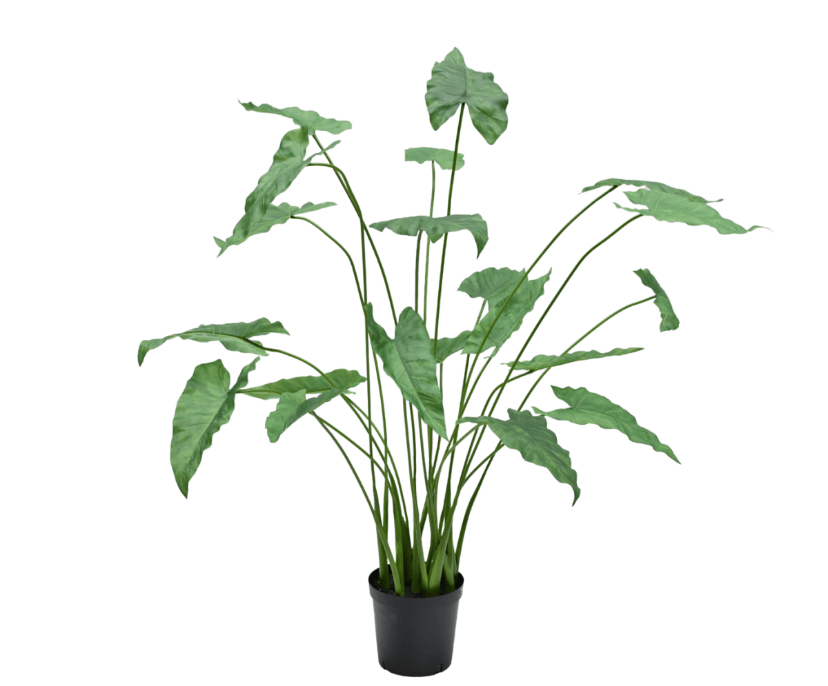 Kunstplant Alocasia Groen | 133 cm - NU PUUR & GROEN