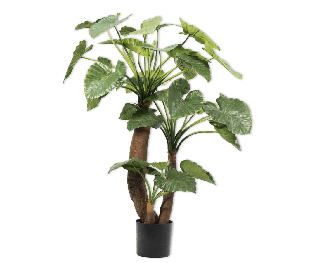 Kunstplant Alocasia Groen | 170 cm - NU PUUR & GROEN