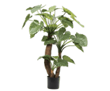 Kunstplant Alocasia Groen | 170 cm