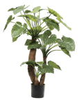 Kunstplant Alocasia Groen | 170 cm - NU PUUR & GROEN