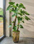 Kunstplant Alocasia Groen | 170 cm - NU PUUR & GROEN