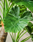 Kunstplant Alocasia Groen | 170 cm - NU PUUR & GROEN