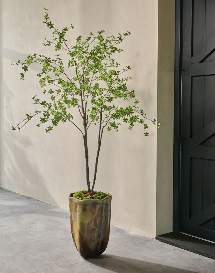 Kunstplant Bucida Groen | 218 cm - NU PUUR & GROEN
