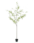 Kunstplant Bucida Groen | 220 cm - NU PUUR & GROEN