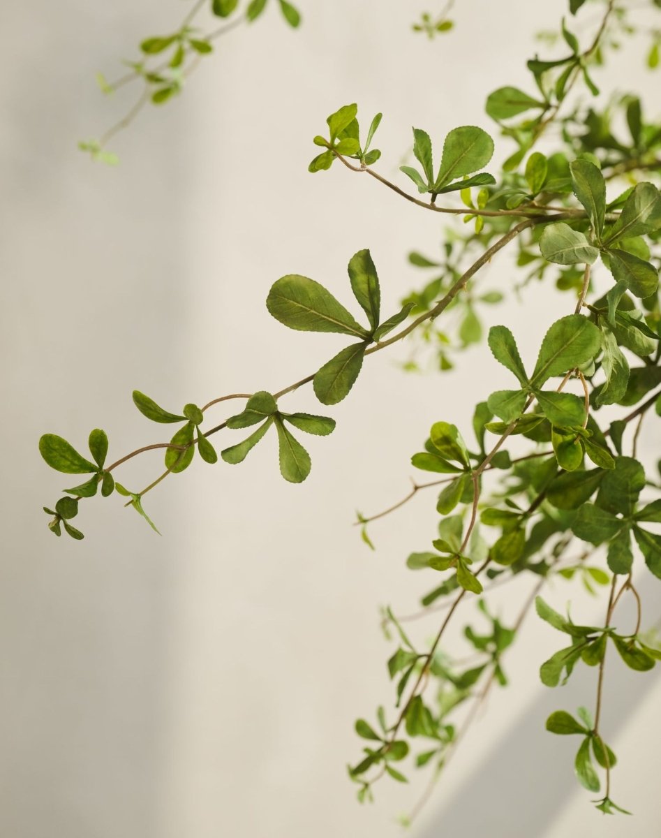 Kunstplant Bucida Groen | 228 cm - NU PUUR & GROEN