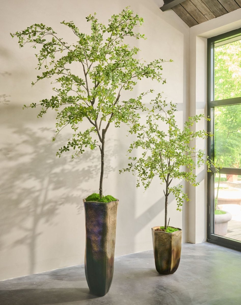 Kunstplant Bucida Groen | 228 cm - NU PUUR & GROEN