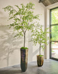 Kunstplant Bucida Groen | 228 cm - NU PUUR & GROEN