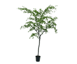Kunstplant Bucida Groen | 228 cm