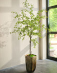 Kunstplant Bucida Groen | 228 cm - NU PUUR & GROEN