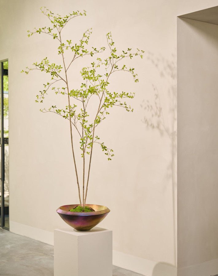 Kunstplant Bucida Groen | 235 cm - NU PUUR & GROEN