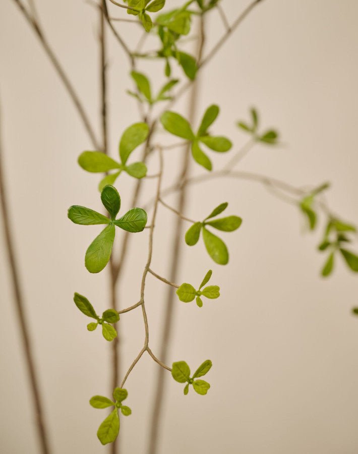 Kunstplant Bucida Groen | 235 cm - NU PUUR & GROEN