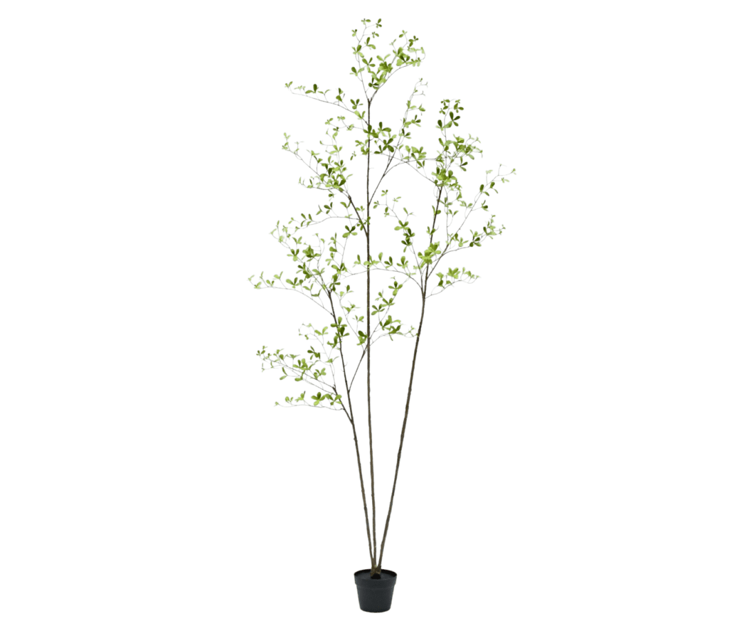 Kunstplant Bucida Groen | 235 cm - NU PUUR & GROEN