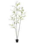 Kunstplant Bucida Groen | 235 cm - NU PUUR & GROEN