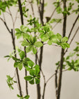 Kunstplant Bucida Groen | 244 cm - NU PUUR & GROEN