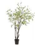 Kunstplant Bucida Groen | 244 cm - NU PUUR & GROEN