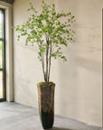 Kunstplant Bucida Groen | 244 cm - NU PUUR & GROEN