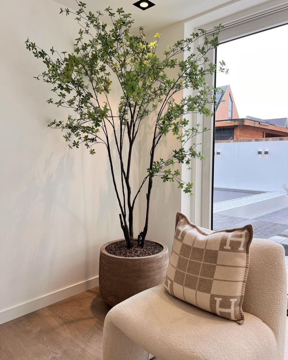 Kunstplant Bucida Groen | 244 cm - NU PUUR & GROEN