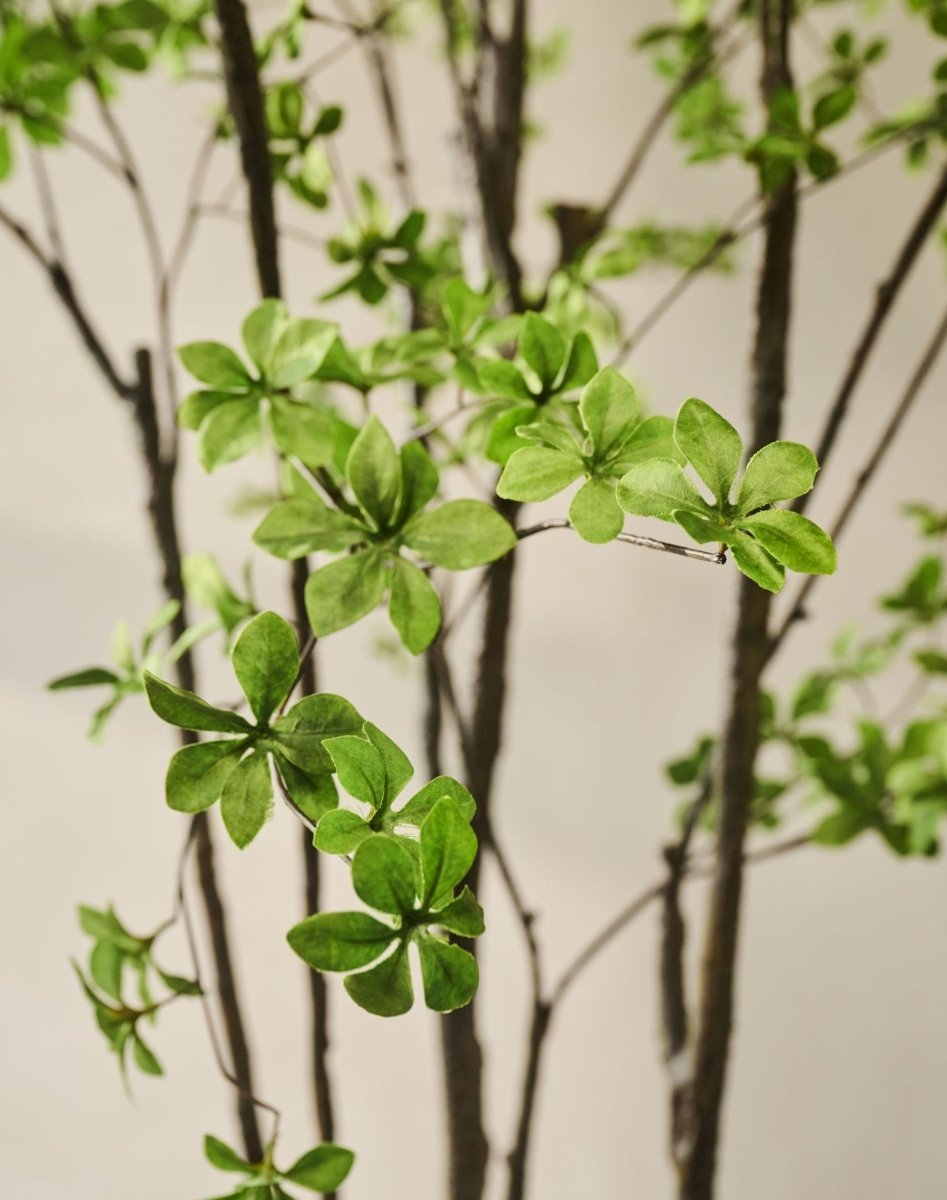 Kunstplant Bucida Groen | 274 cm - NU PUUR & GROEN