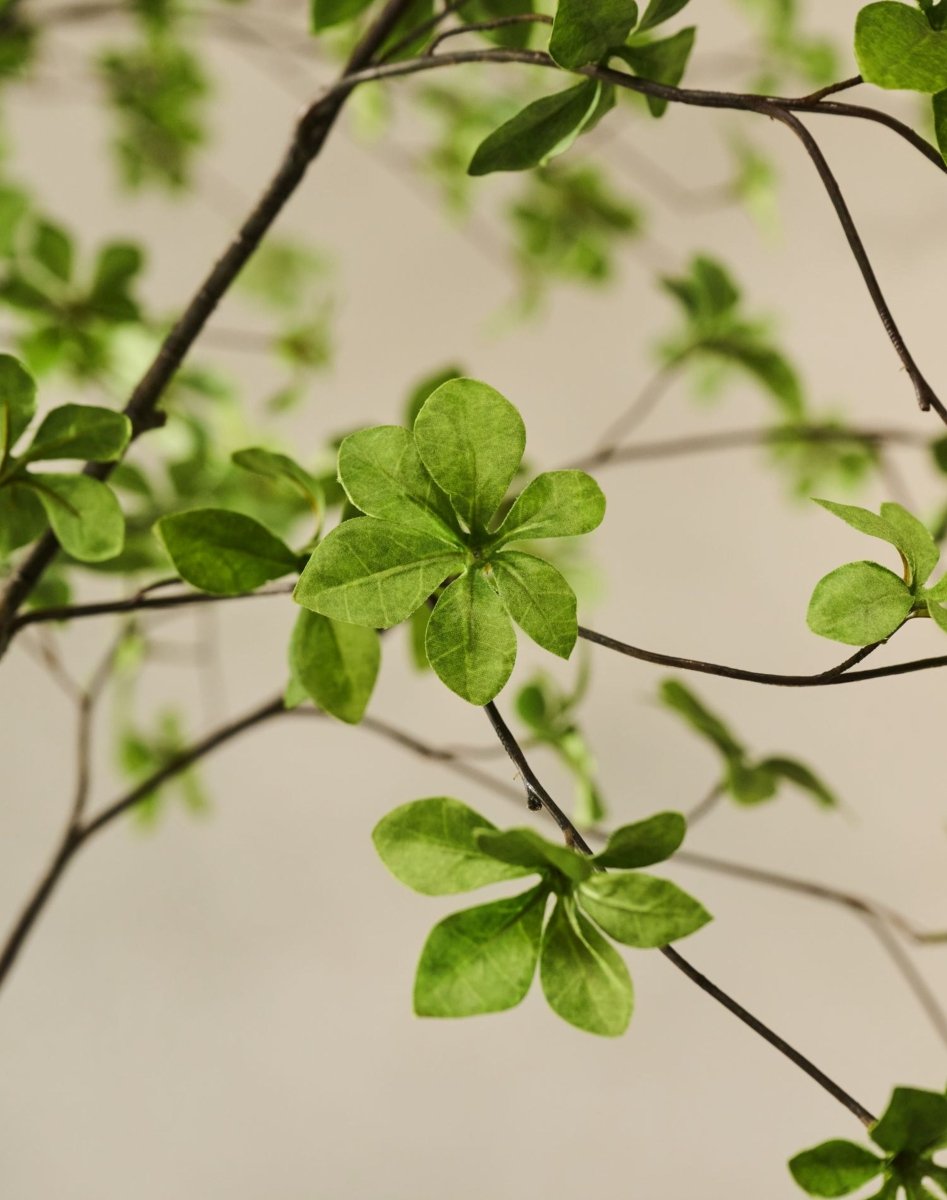 Kunstplant Bucida Groen | 274 cm - NU PUUR & GROEN