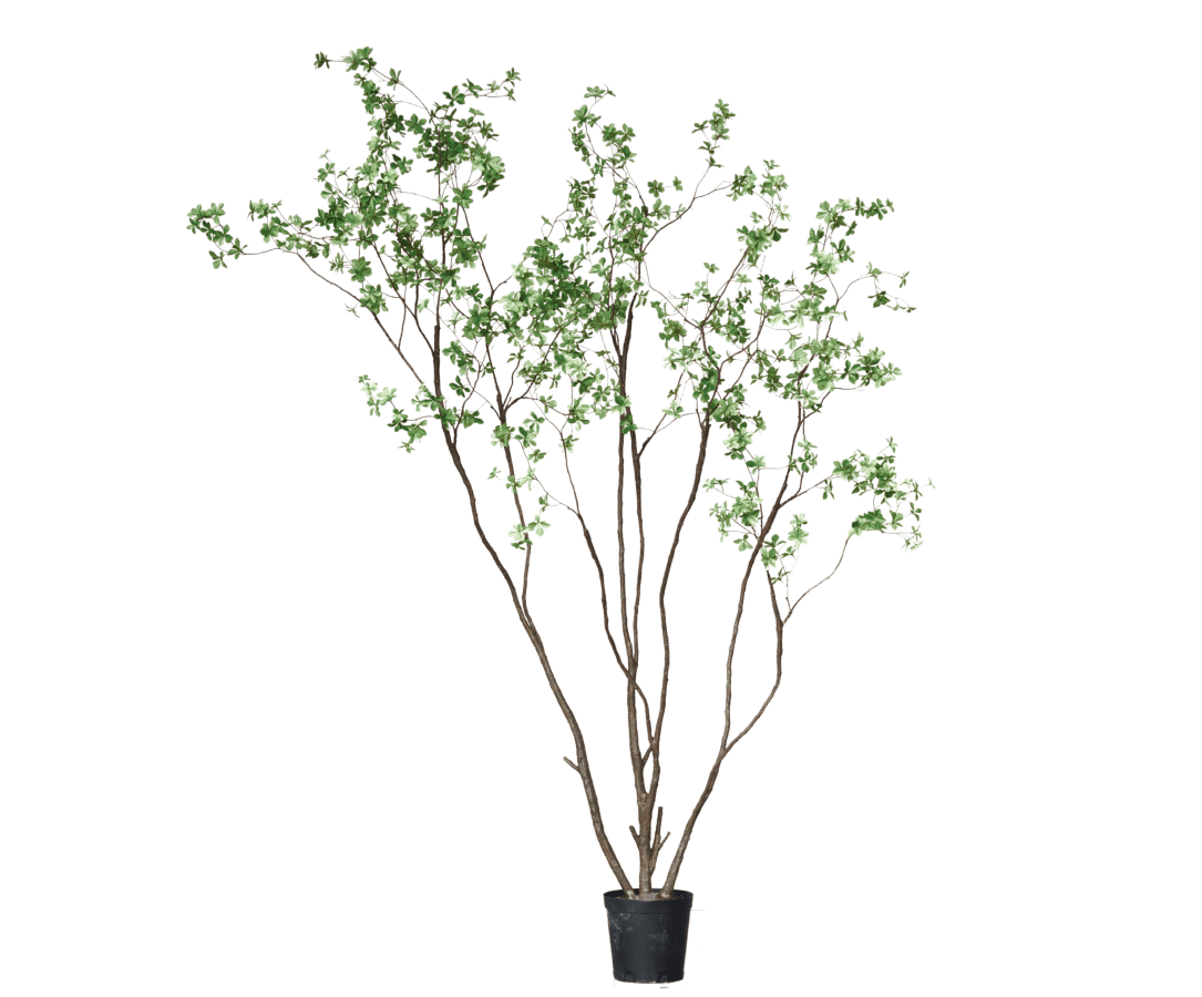 Kunstplant Bucida Groen | 274 cm - NU PUUR & GROEN