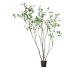 Kunstplant Bucida Groen | 274 cm