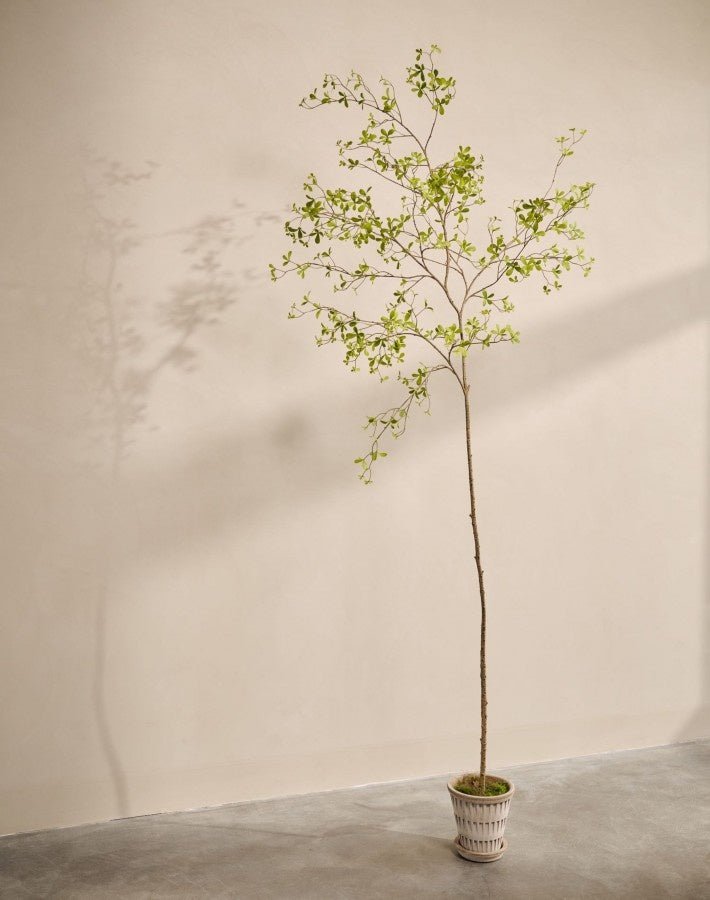 Kunstplant Bucida Groen | 290 cm - NU PUUR & GROEN