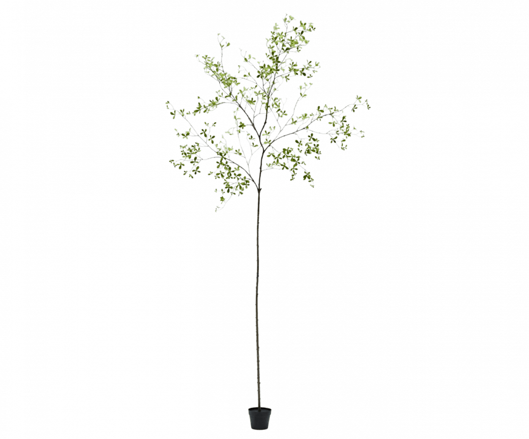 Kunstplant Bucida Groen | 290 cm - NU PUUR & GROEN