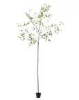 Kunstplant Bucida Groen | 290 cm - NU PUUR & GROEN