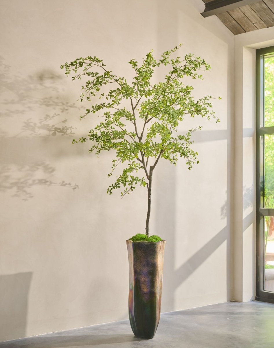 Kunstplant Bucida Groen | 300 cm - NU PUUR & GROEN