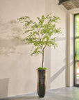 Kunstplant Bucida Groen | 300 cm - NU PUUR & GROEN