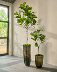 Kunstplant Ficus Groen | 151 cm - NU PUUR & GROEN