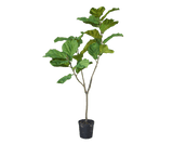 Kunstplant Ficus Groen | 151 cm
