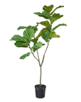 Kunstplant Ficus Groen | 151 cm - NU PUUR & GROEN