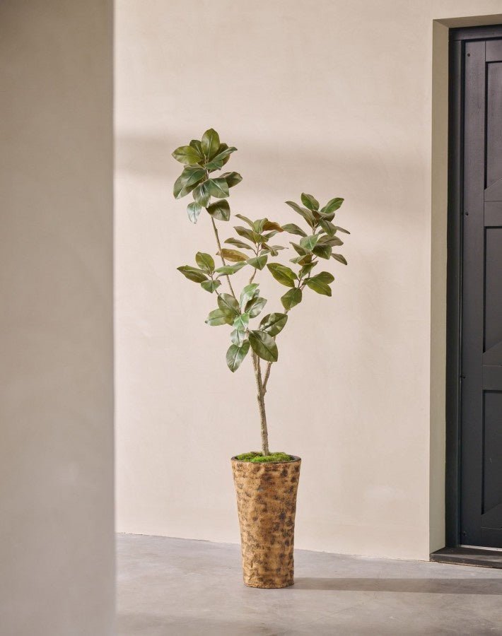 Kunstplant Ficus Groen | 200 cm - NU PUUR & GROEN