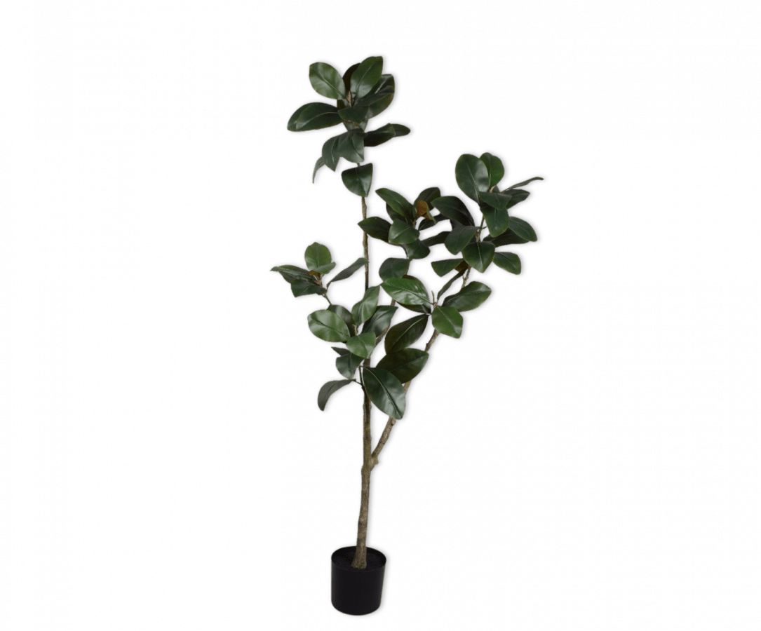 Kunstplant Ficus Groen | 200 cm - NU PUUR & GROEN
