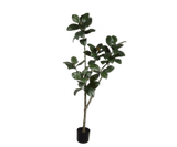 Kunstplant Ficus Groen | 200 cm