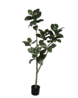Kunstplant Ficus Groen | 200 cm - NU PUUR & GROEN