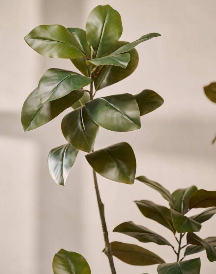 Kunstplant Ficus Groen | 200 cm - NU PUUR & GROEN