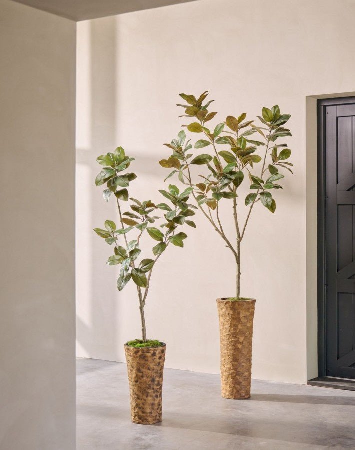 Kunstplant Ficus Groen | 200 cm - NU PUUR & GROEN