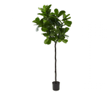 Kunstplant Ficus Groen | 210 cm