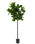 Kunstplant Ficus Groen | 210 cm - NU PUUR & GROEN
