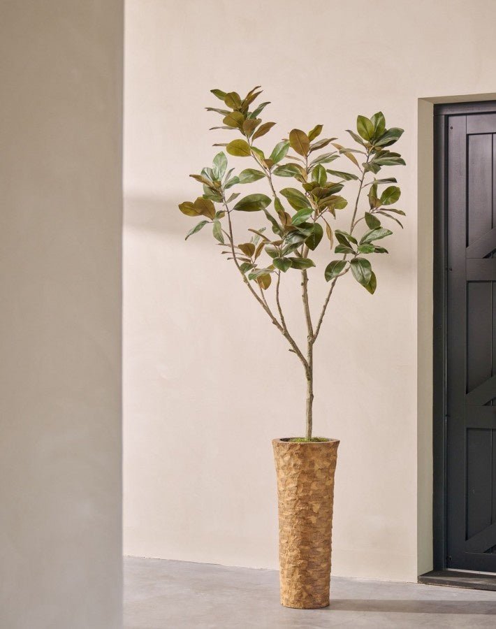 Kunstplant Ficus Groen | 230 cm - NU PUUR & GROEN