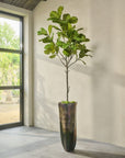 Kunstplant Ficus Groen | 254 cm - NU PUUR & GROEN