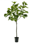 Kunstplant Ficus Groen | 254 cm - NU PUUR & GROEN