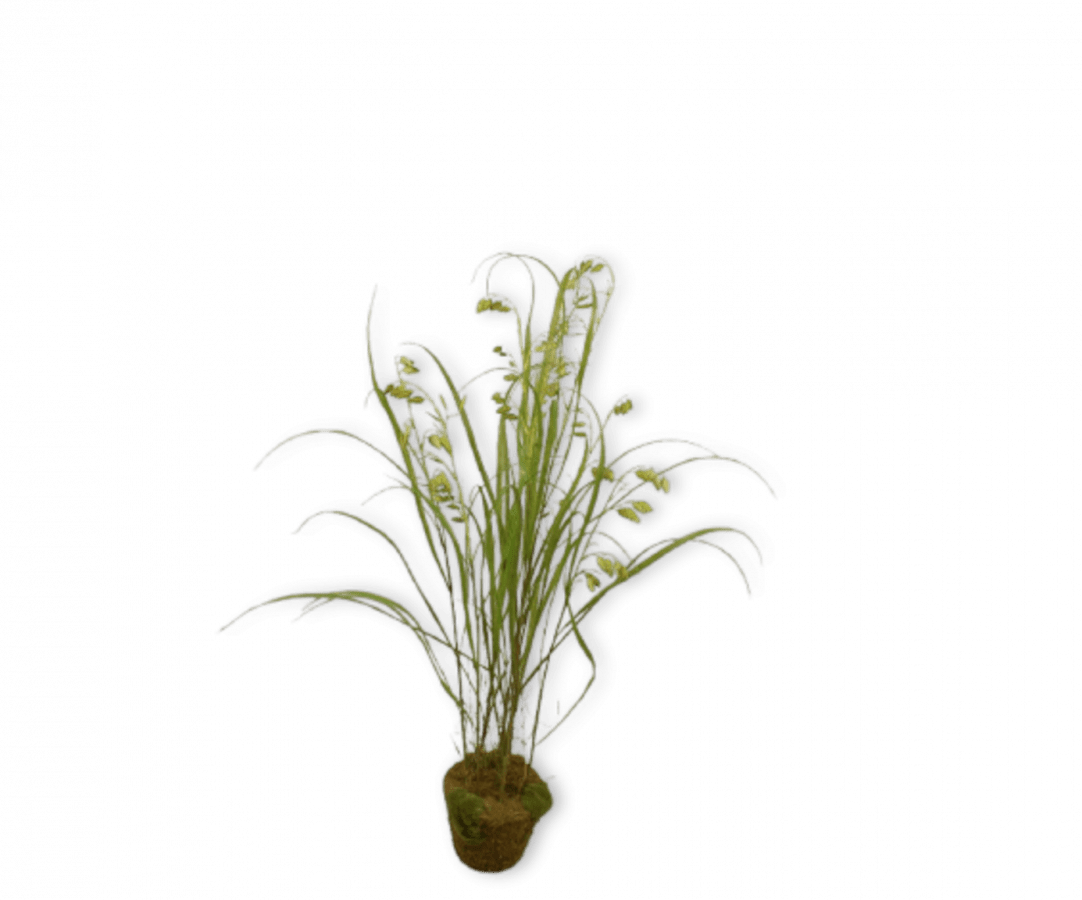 Kunstplant Gras op Kluit met Mos | 120 cm - NU PUUR & GROEN