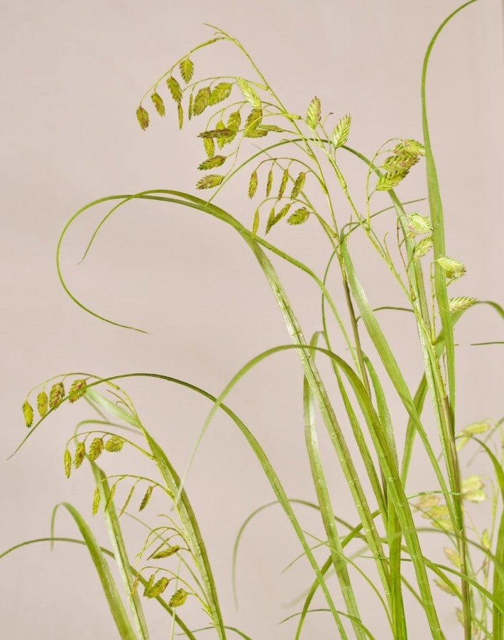 Kunstplant Gras op Kluit met Mos | 120 cm - NU PUUR & GROEN