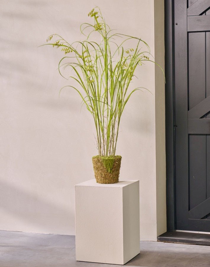 Kunstplant Gras op Kluit met Mos | 150 cm - NU PUUR & GROEN