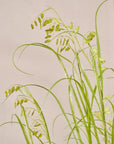 Kunstplant Gras op Kluit met Mos | 150 cm - NU PUUR & GROEN