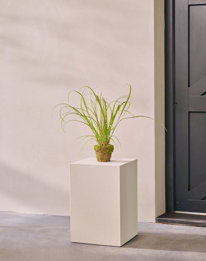 Kunstplant Gras op Kluit met Mos | 74 cm - NU PUUR & GROEN