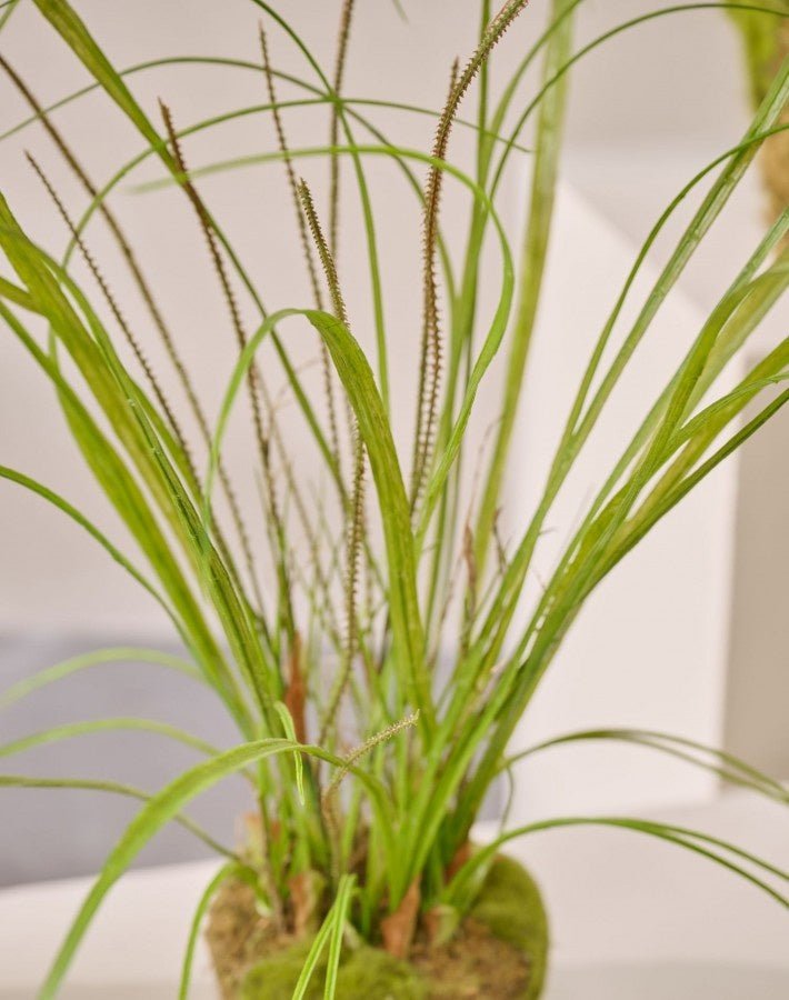 Kunstplant Gras op Kluit met Mos | 74 cm - NU PUUR & GROEN